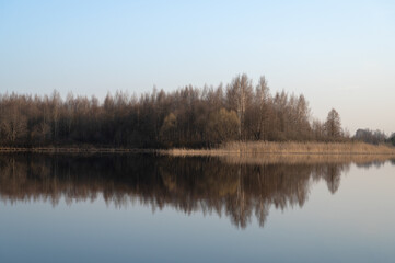 Fototapeta na wymiar Beautiful spring landscape with a river and trees in a row at dawn against the blue sky. A mirror image in the water. The concept of calm and serenity