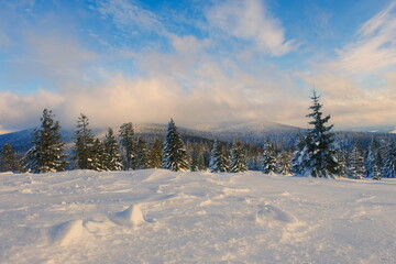 Winter in the mountains. Frosty sunny day in the mountains. Winter in the Beskids Poland.
