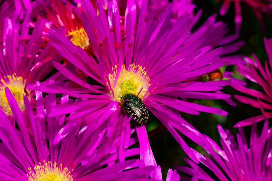 naturaleza