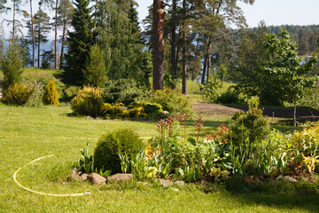 Beautiful landscaped park among pine trees on a sunny summer day.