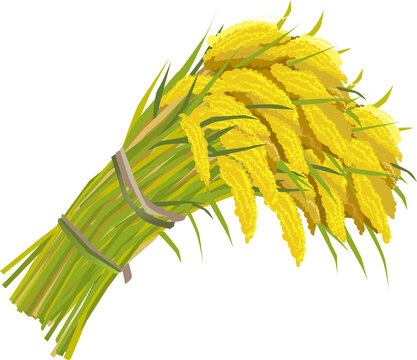 54 Best 稲束 Images Stock Photos Vectors Adobe Stock