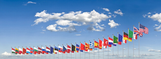 The 30 waving Flags of NATO Countries - North Atlantic Treaty. Isolated on cloud background  - 3D illustration.