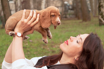 Young attractive woman examines a cute cocker spaniel puppy. A new cute family member. Pet Care and...