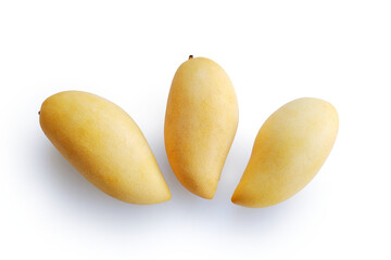 Mangoes fruit on white background