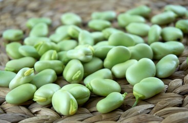 Fresh and organic raw fava, broad beans