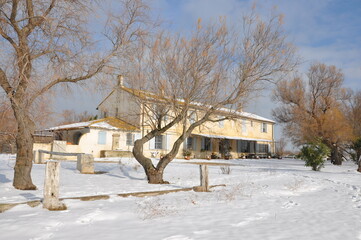La Camargue sous la neige