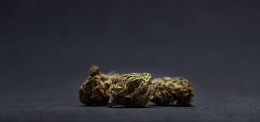 Buds of medical marijuana. Closeup on medical hemp on dark background. CBD, medical hemp, weed, sativa.