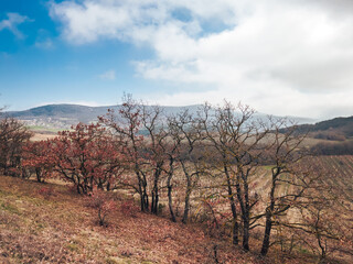 Autumn landscape in a mountainous area, trees waiting for spring.