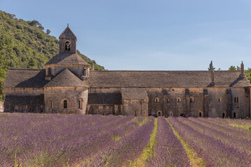 Abbey Notre Dame de Senanque in the Provence, France, Europe