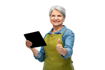 gardening, farming and old people concept - portrait of happy smiling senior woman in green garden apron with tablet pc computer showing thumbs up over white background