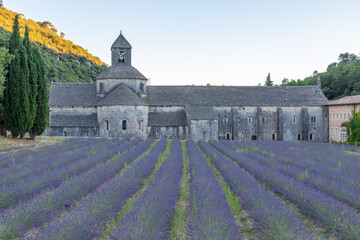 Abbey Notre Dame de Senanque in the Provence, France, Europe
