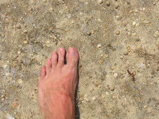 Goła stopa na powierzchnie z piasku i muszelkami © vofchok