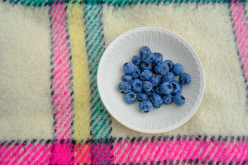blueberries in a white bowl on checkered colorful plaid close-up. Top view. Picnic in park concept. 