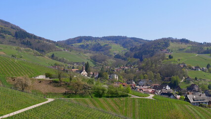 Fototapeta na wymiar Blick auf Sasbachwalden in der Ortenau