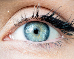 detailed close-up of female blue eyes 