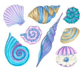 Set of colorful sea shells. Hand drawn illustration isolated on white background.