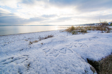 Winter Landschaft Ostsee Meer Eckernförde Norddeutschland Strand Himmel Wolken Menschen Spaziergänger Dünen