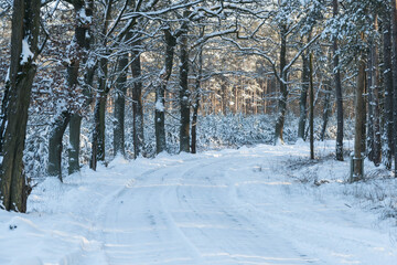 Wiejska droga w śnieżny, zimowy dzień.