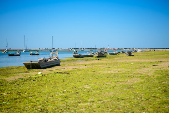 Boats for oysterculture laying on the beach of la patache on the isle of ile de R&eacute; on sunny summerday at lowtide with the church of Ars-en_R&eacute; in the background.