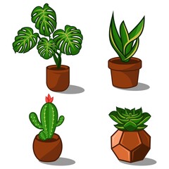 plant vector
