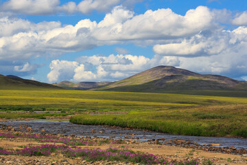 Summer Arctic landscape. View of a small river in the tundra and hills. Travel and hiking in the wilderness in the Far North in the Polar Region. Nature of Chukotka and Siberia. Far East of Russia.