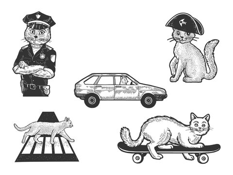 Cat pet animal set sketch engraving vector illustration. T-shirt apparel print design. Scratch board imitation. Black and white hand drawn image.