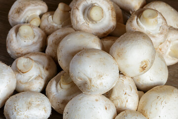 The fresh champignon mushrooms ready for cooking. A top view closeup of fresh mushrooms.