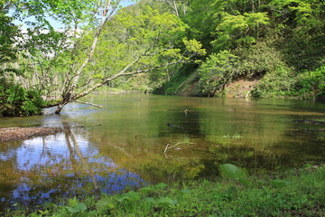 熊越の滝（知床羅臼）