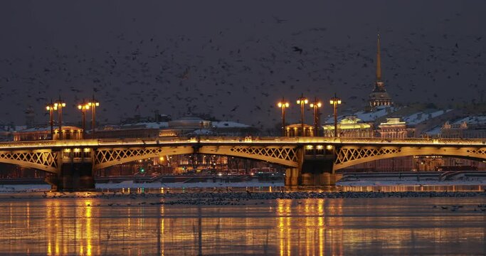 The panoramic footage of the winter night city Saint-Petersburg with picturesque reflection n water, Blagoveshchensky bridge, old name is the lieutenant Schmidt, lot of birds, Admiralty building