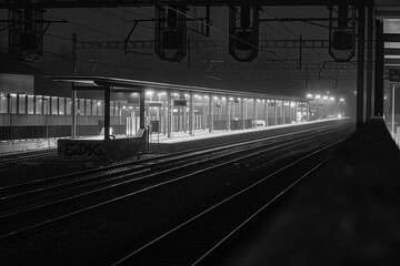 Chambésy Gare de nuit par temps  brumeux