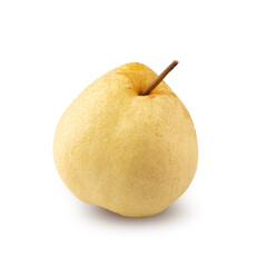 Fresh Chinese pear fruit isolated on white background with clipping path.