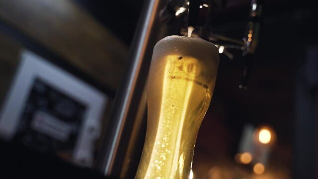 Golden beer is slowly poured into a glass at night bar. Pouring an alcoholic beverage