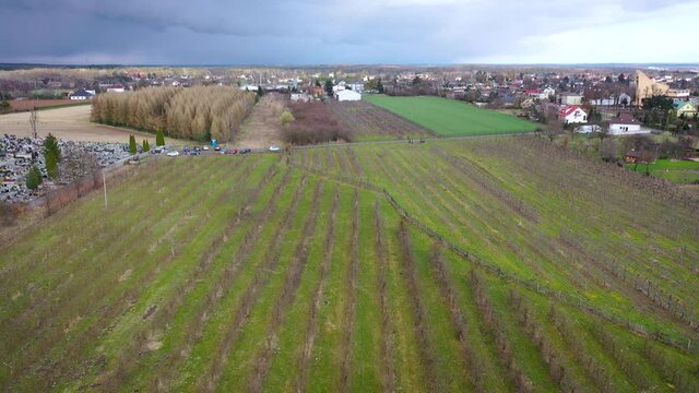 Aerial video of orchards in Rogow village in Brzeziny County, Lodzkie Voivodeship of Poland