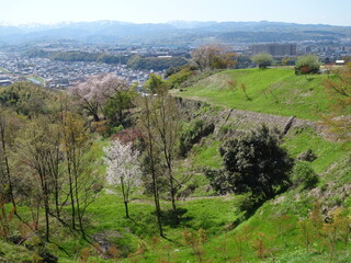 春の卯辰山（石川）の風景