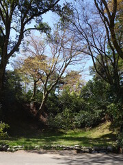 春の卯辰山（石川）の風景