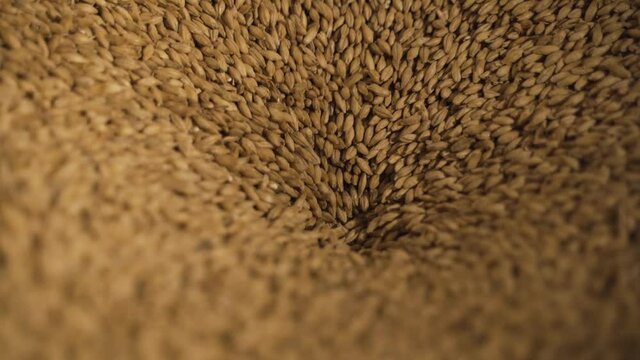 Close-up of malt seeds falling into the grinding funnel