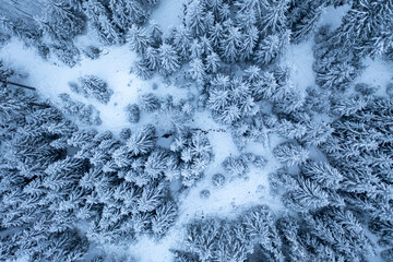 Snowy Landscape from Above
