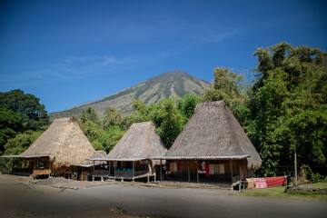 Fototapeta na wymiar Bena Village in Flores Indonesia