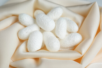 Fototapeta na wymiar Heap of white cocoons on silk fabric, closeup