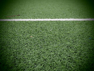 soccer field with grass