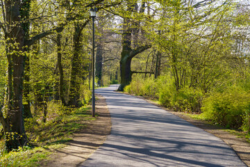 Schöner geteerter Parkweg durch den Kurpark Bad Nauheim bei Frühlingsanfang