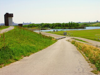 春の平日の江戸川河川敷風景