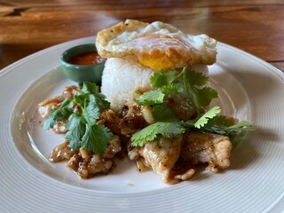 Top view of fried pork and egg on rice served on white plate.  Thai dish style, fast food.