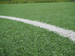 soccer field and grass