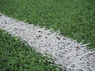 grass