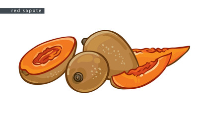 sketch_red_sapote_two_fruits_half_and_two_slices