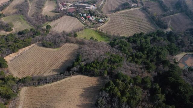 A bird's eye view of a blossoming forest, wheat fields, a regular triangular peninsula and the seashore. Stock footage. Copter shooting, top view, smooth camera movement. Mediterranean coast, calm