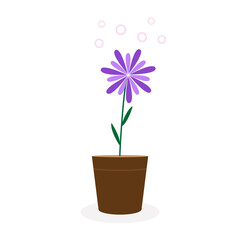 Flower in pot. Beautiful house plant. Vector illustration isolated on white background. Flat style