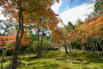 神護寺の秋景色
