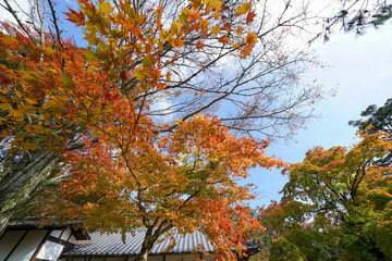 神護寺の秋景色
